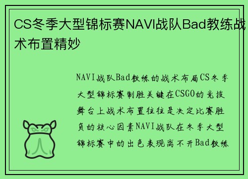 CS冬季大型锦标赛NAVI战队Bad教练战术布置精妙