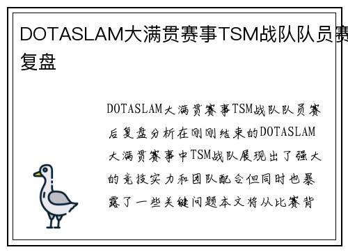 DOTASLAM大满贯赛事TSM战队队员赛后复盘